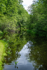 river in summer green shores with tree reflections in water