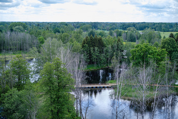 spring by the lake with green foliage grass in meadow and blue water