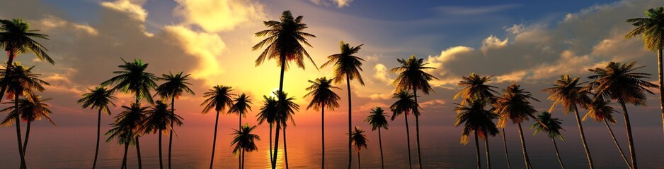 Obraz premium palm trees at sunset, panorama of the beach with palm trees at sunrise