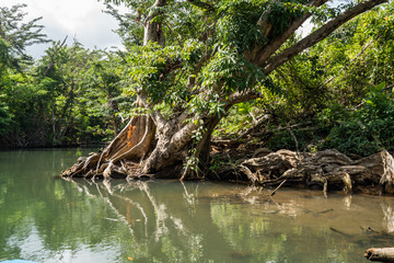  Views around the caribbean island of Dominica West indies