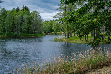 river in summer green shores with tree reflections in water