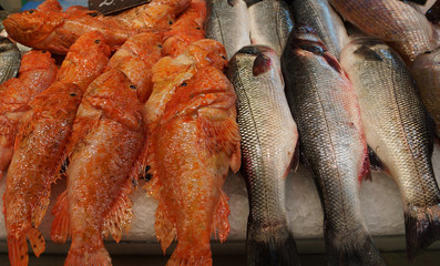 fischmarkt in palma de mallorca