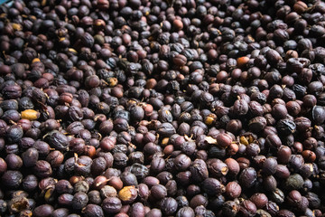Coffee Beans (Berries) Dried with the Fruit On in Guatemala