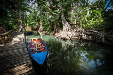  Views around the caribbean island of Dominica West indies