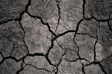 Dry Cracked Earth