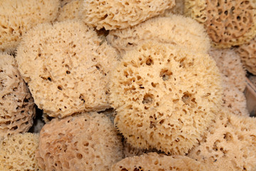 Naturschwämme