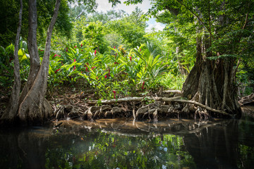  Views around the caribbean island of Dominica West indies