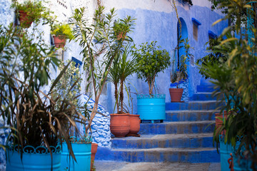 Macetas con plantas en Chauen, Marruecos