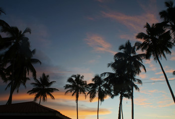 Fototapeta premium The nature and architecture of the village on the southern tropical island of Sri Lanka.