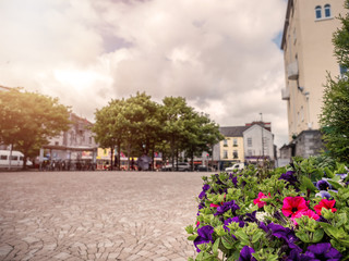 Flower bed in town square, Sun flare, selective focus, Town decoration concept.