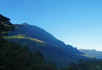 Mountain green landscape with beautiful views of the tropical island of Sri Lanka in summer.