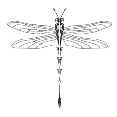  dragonfly graphic design print design idea vector image