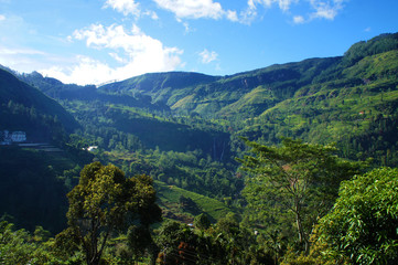 Fototapeta premium Mountain green landscape with beautiful views of the tropical island of Sri Lanka in summer.