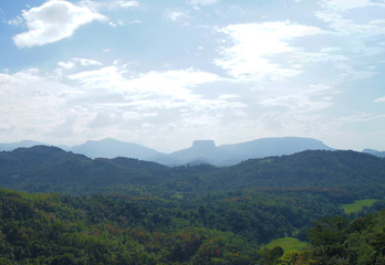 Obraz premium Mountain green landscape with beautiful views of the tropical island of Sri Lanka in summer.