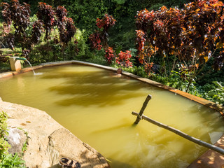  Hot sulpher Spring - Views around the caribbean island of Dominica West indies