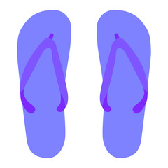 isolated flip flops on the white background