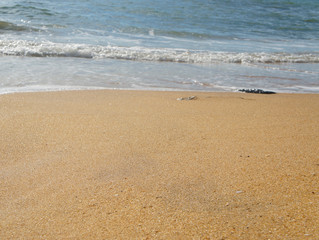 Fototapeta na wymiar Sand closeup on the shore on the tropical island of Sri Lanka in summer.