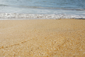 Sand closeup on the shore on the tropical island of Sri Lanka in summer.
