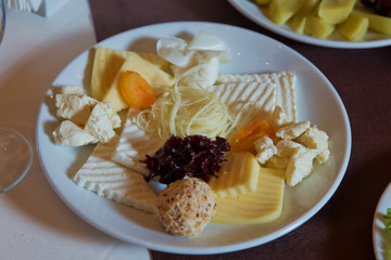 Cheeses for Birthday in RESTORAN. Stuffed cheese. Cheese in the plate.