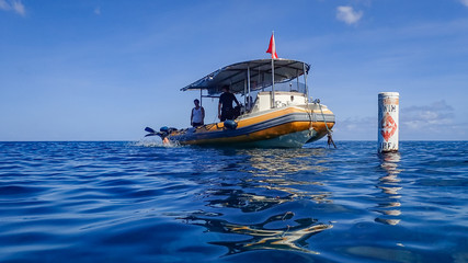 snorkelling Views around the caribbean island of Dominica West indies