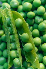 fresh green peas in a pod