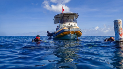 snorkelling Views around the caribbean island of Dominica West indies