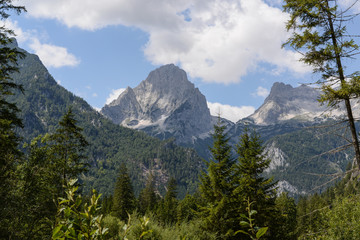 Hinterstoder - Spitzmauer & Großer Priel with Forest - Austria