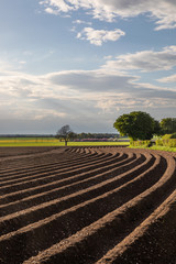 Fototapeta na wymiar Furrowed Field