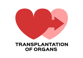Obraz premium organ transplant and donation vector icon / heart shape