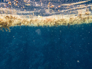 snorkelling Views around the caribbean island of Dominica West indies