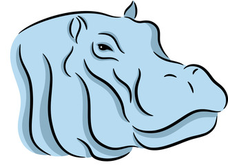 Hippopotamus