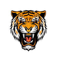 vector tiger. The Tiger head illustration.  head tiger with roar face