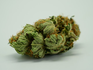 Cannabis Nahaufnahme, getrocknete Blüten