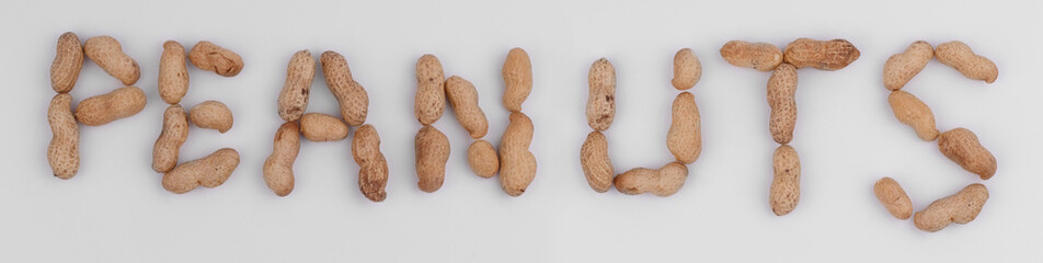 peanut captions isolated