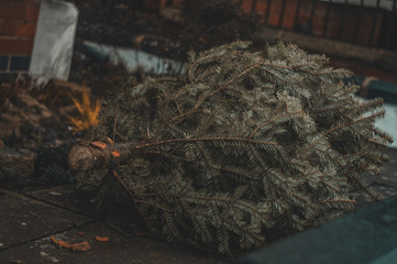 Abounded Christmas tree