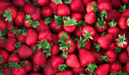 Background of ripe strawberries. Close up.