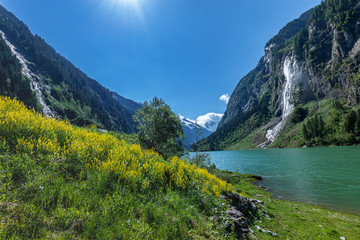 Fototapeta premium Summer alpine landscape with mountain lake. Stillup, Stillup Lake, Austria, Tirol