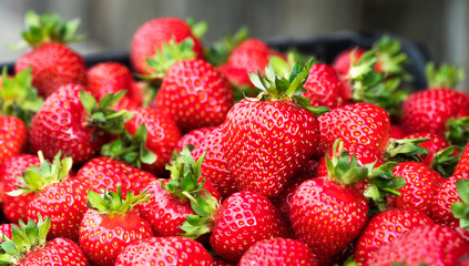 Background of ripe strawberries. Close up.
