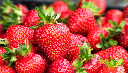 Background of ripe strawberries. Close up.