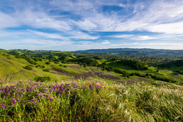 Fototapeta na wymiar Views from around Mount Diablo State Park