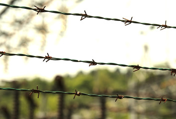 barbed wire at border