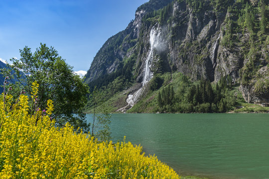 Idyllic mountain landscape in the Alps with blooming flowers, mountain lake and waterfall. Stillup, Stillup Lake, Austria, Tyrol
