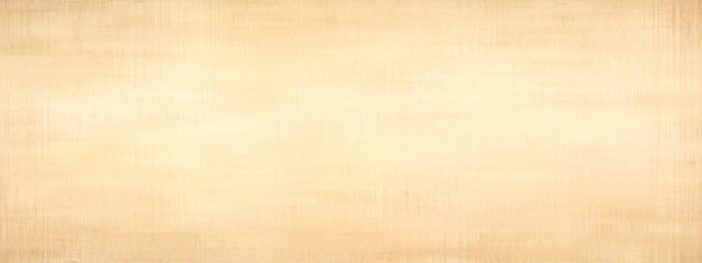 Grunge panoramic scratched texture.