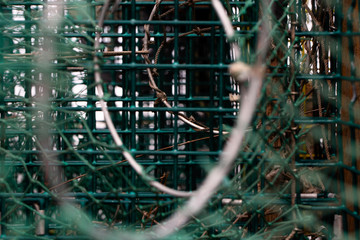 Close-up of lobster pots on Cape Cod in Wellfleet MA.