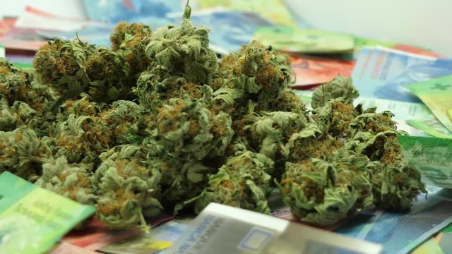 Cannabis mit Geld im Hintergrund