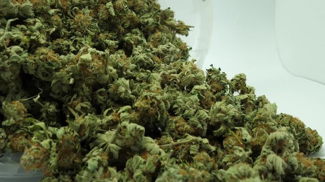 Cannabis buds, close up in a bucket