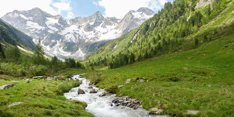 Gerbirgsfluss durch eine grüne Natur in den Alpen