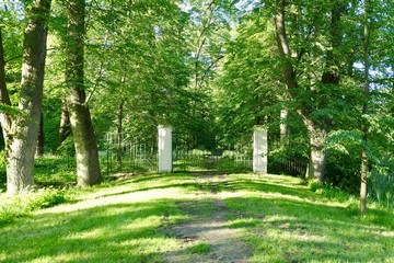 Fototapeta na wymiar Forged gate in the castle park