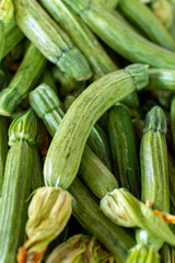Young zicchini vegetables with yellow flowers on farmer market