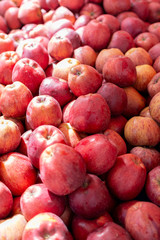 Apple fruit background, new harvest of red apples, close up